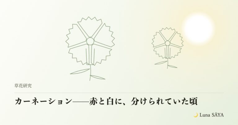 カーネーション