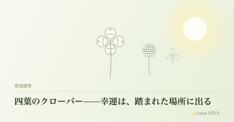 白詰草（しろつめくさ）・四葉のクローバー