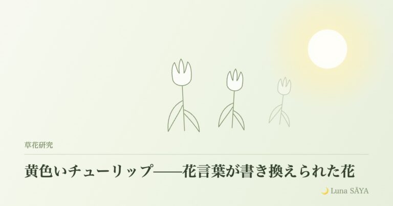 黄色いチューリップ